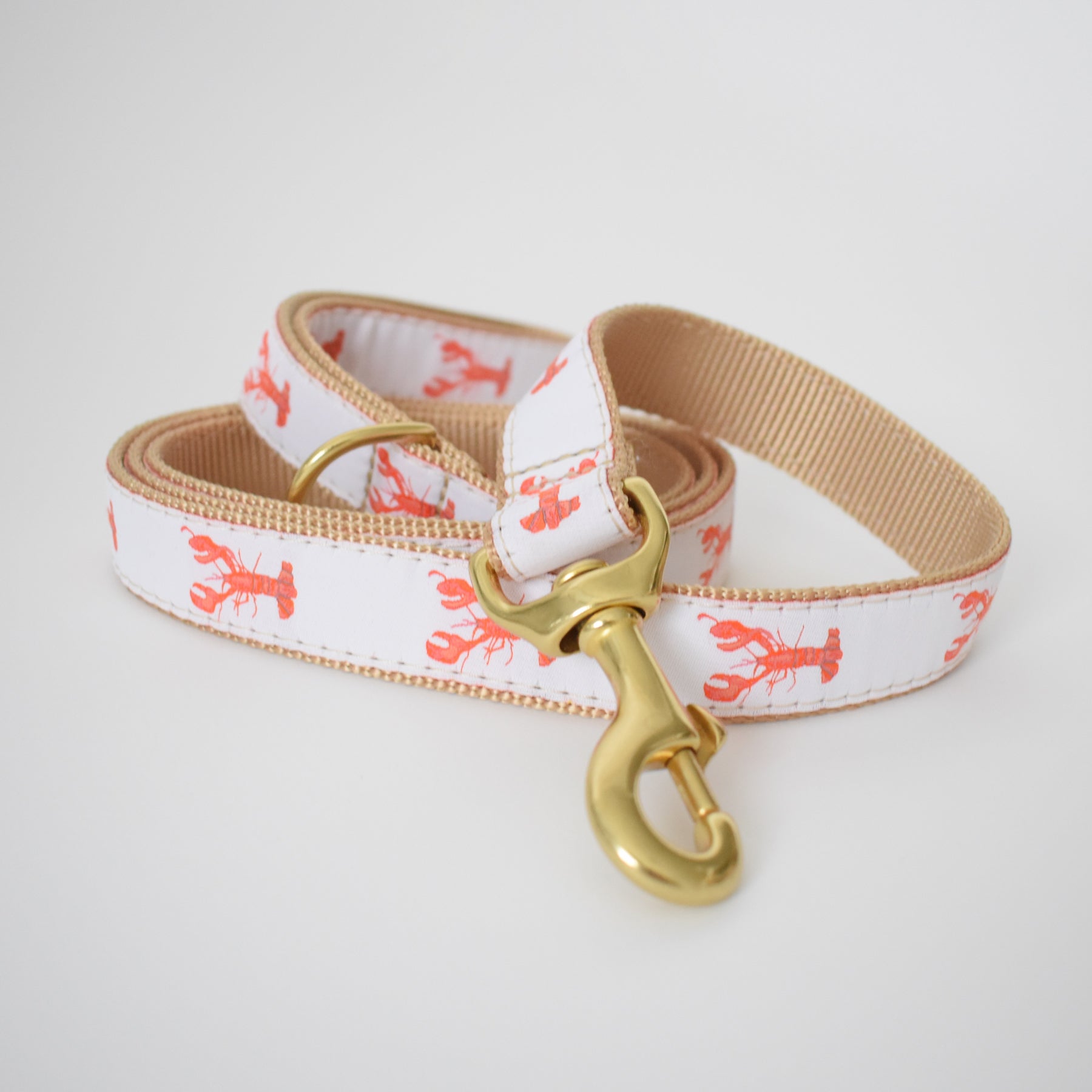 Sara Fitz Dog Leash Lobster 1In 5Ft Brass Hook
