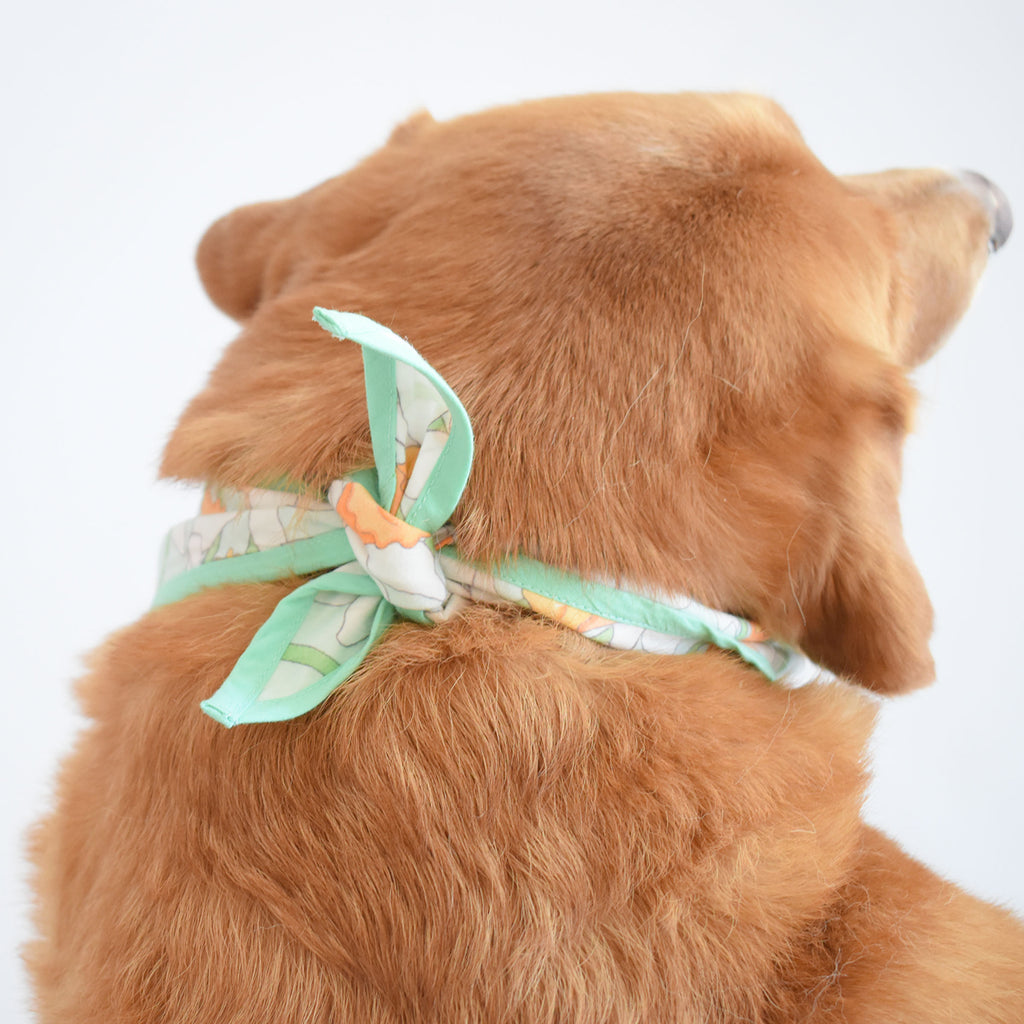 Dog Bandana, Daffy by Sara Fitz