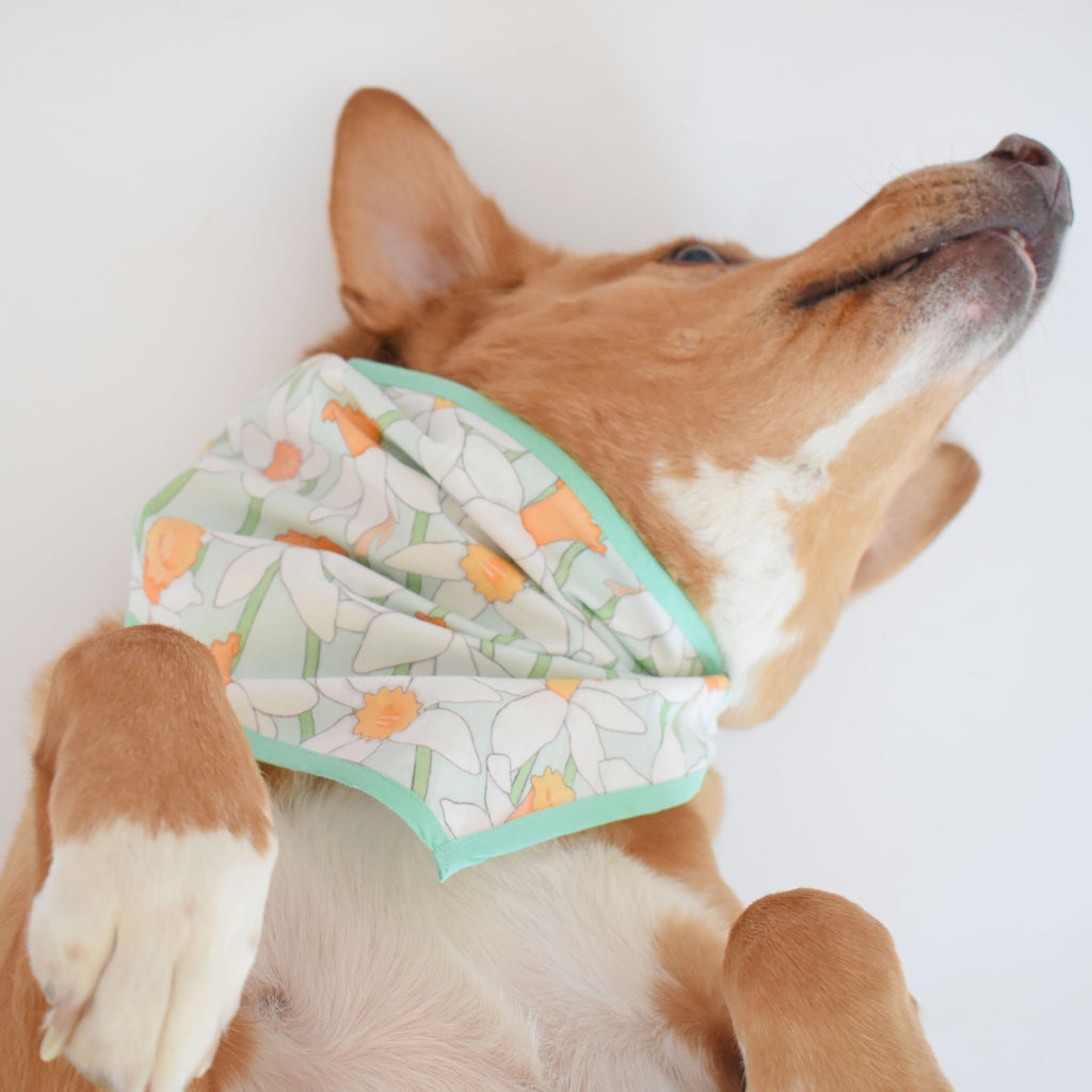 Dog Bandana, Daffy by Sara Fitz