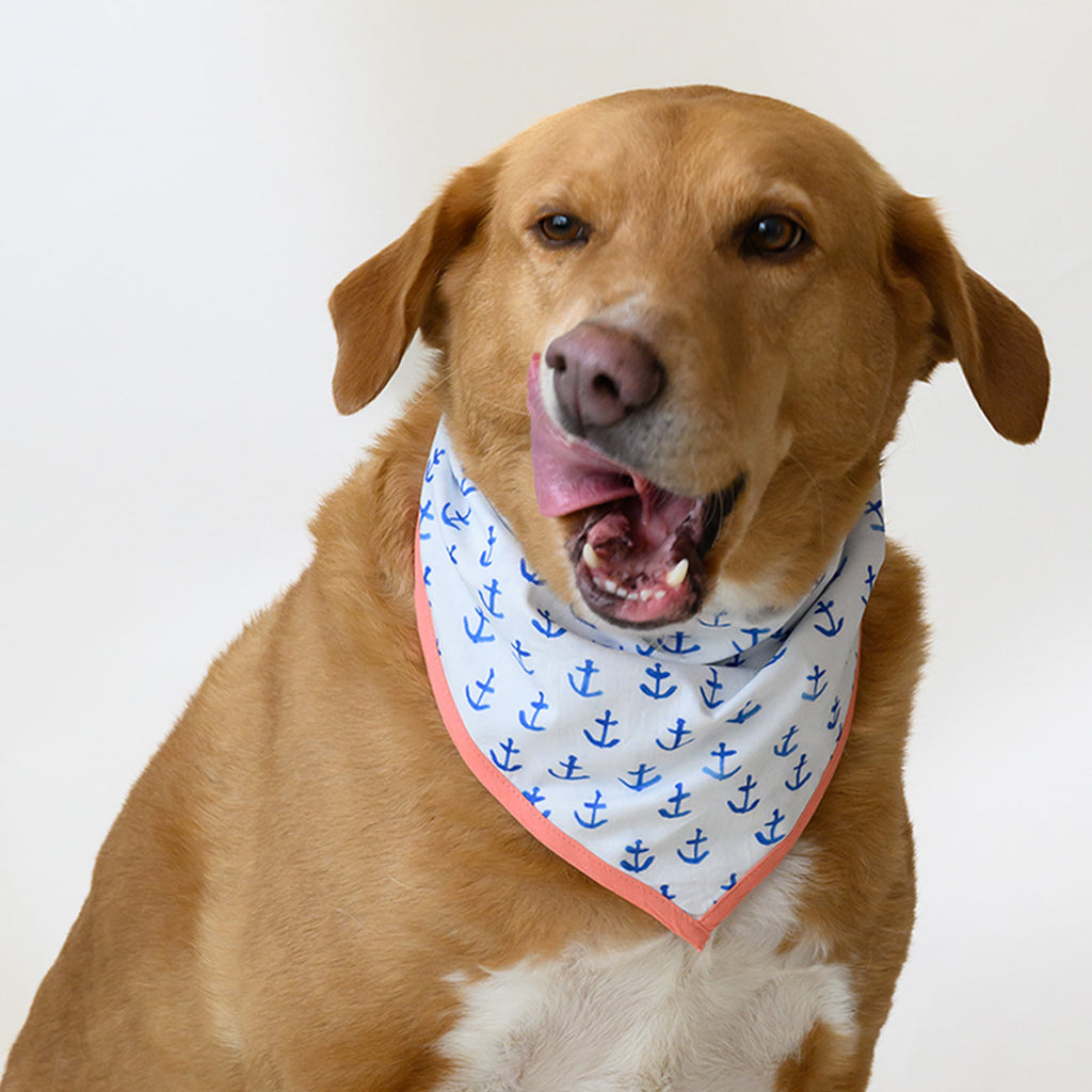 Dog Bandana, Anchor by Sara Fitz