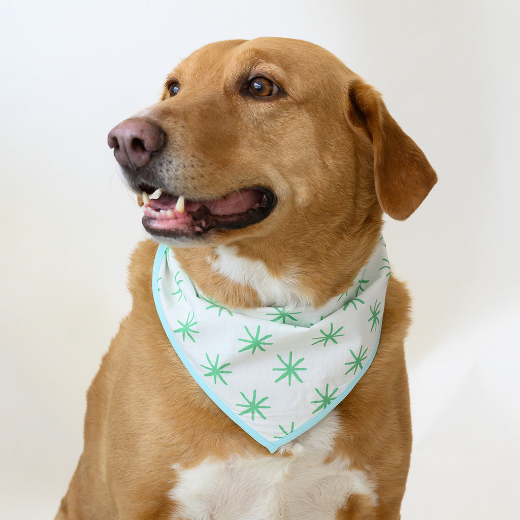 Dog Bandana, Green Star by Sara Fitz