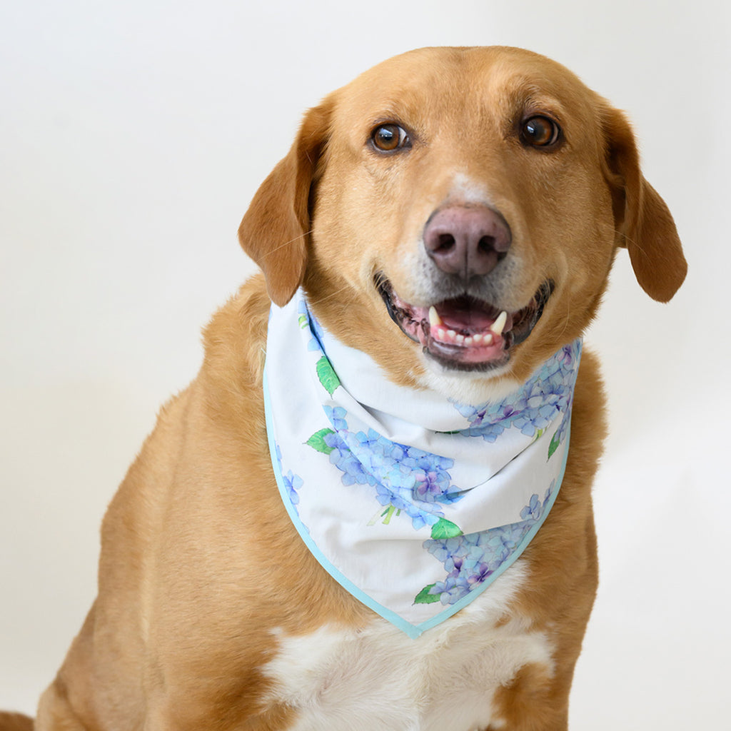 Dog Bandana, Hydrangea by Sara Fitz