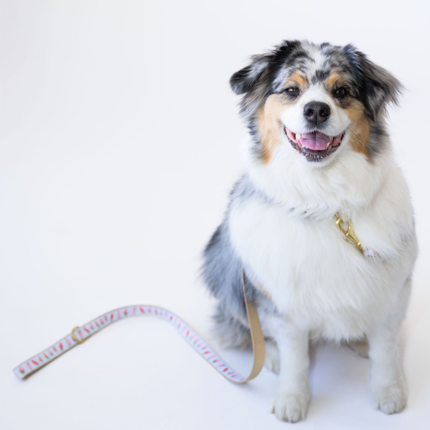 Dog Leash, Strawberry by Sara Fitz