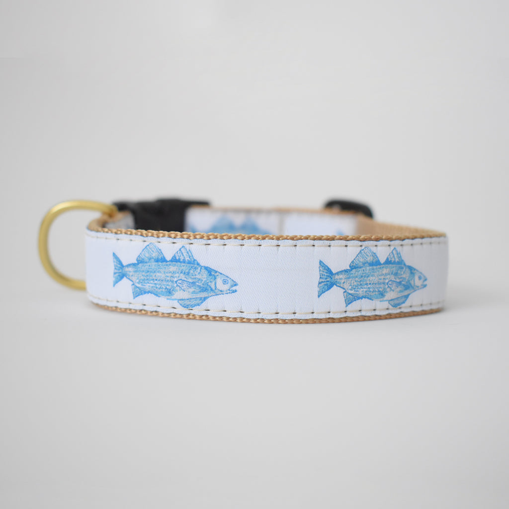 Dog Collar, Blue Fish by Sara Fitz