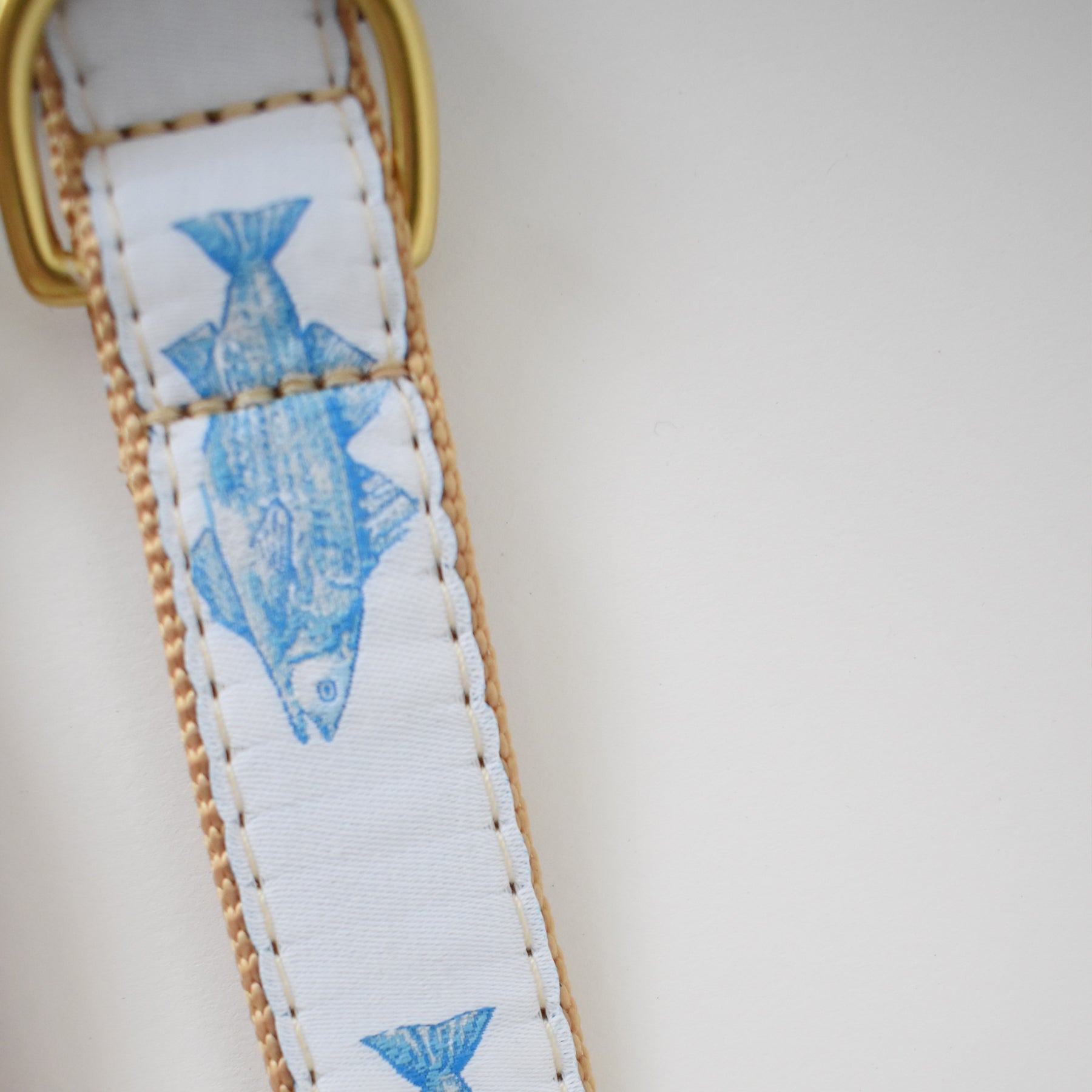 Dog Collar, Blue Fish by Sara Fitz