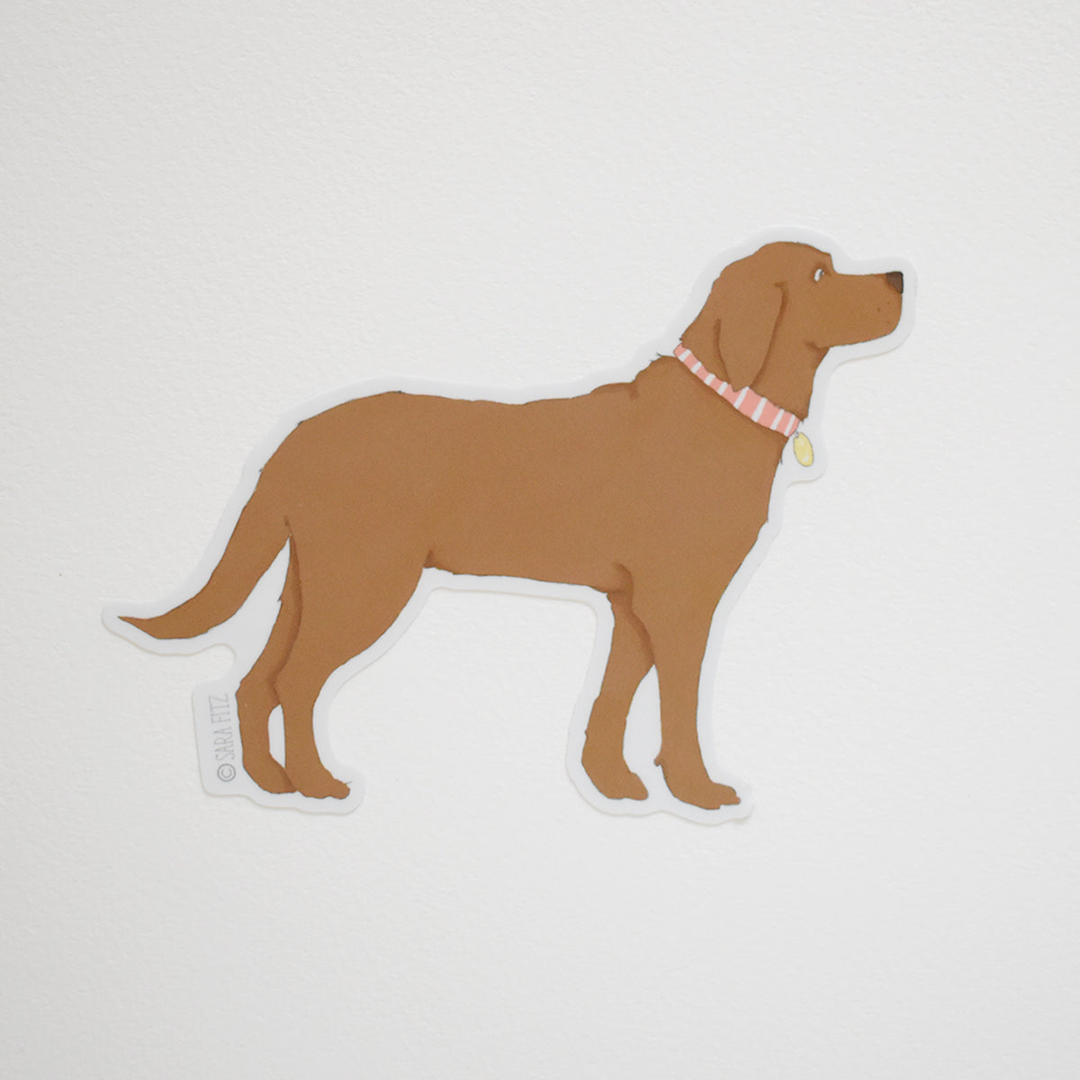 Chocolate Pup Sticker by Sara Fitz