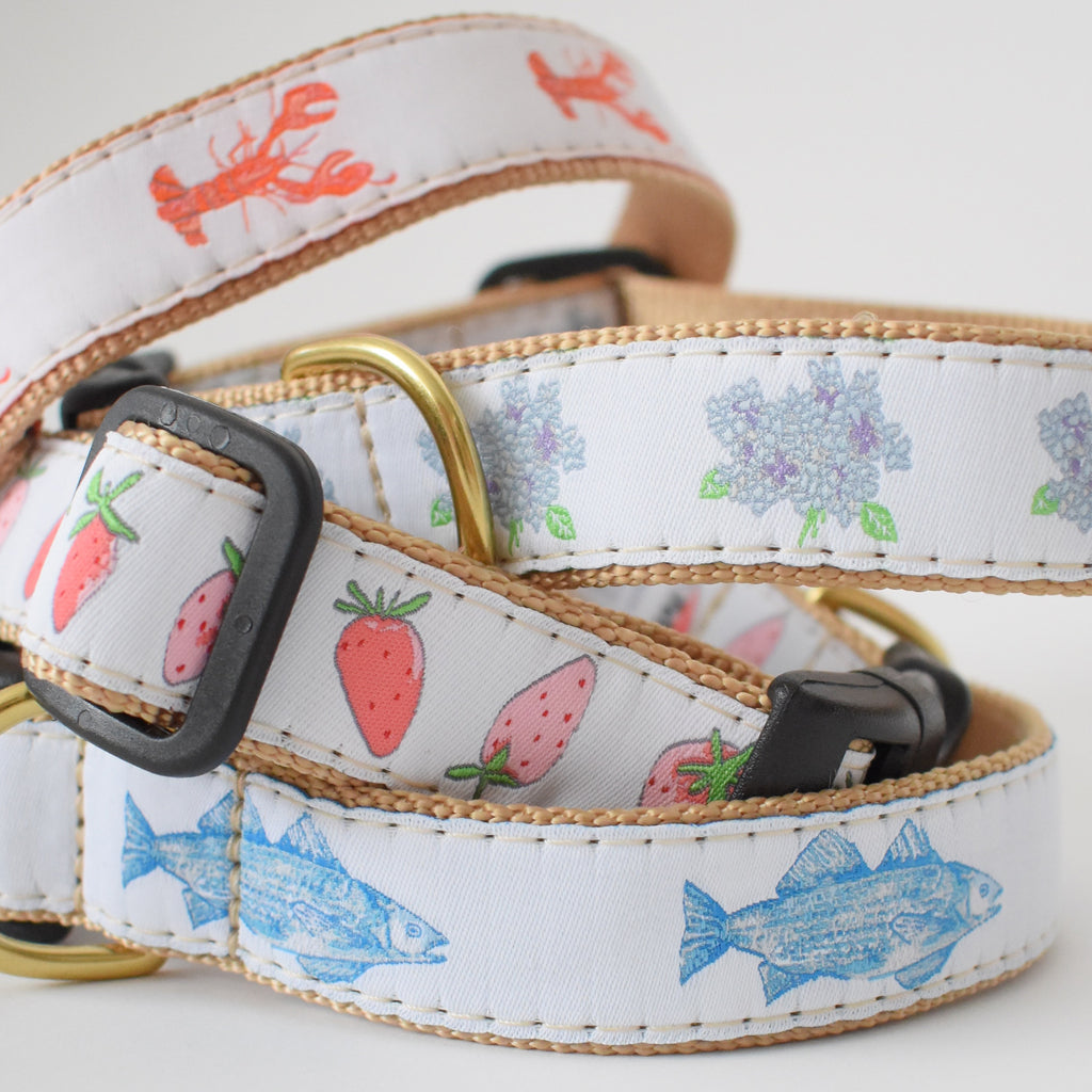 Dog Collar, Blue Fish by Sara Fitz