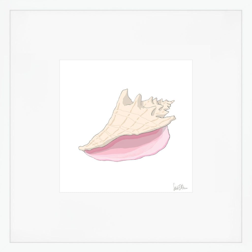 Conch Shell Art Print by Sara Fitz
