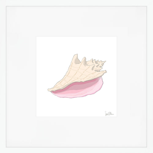 Conch Shell Art Print by Sara Fitz
