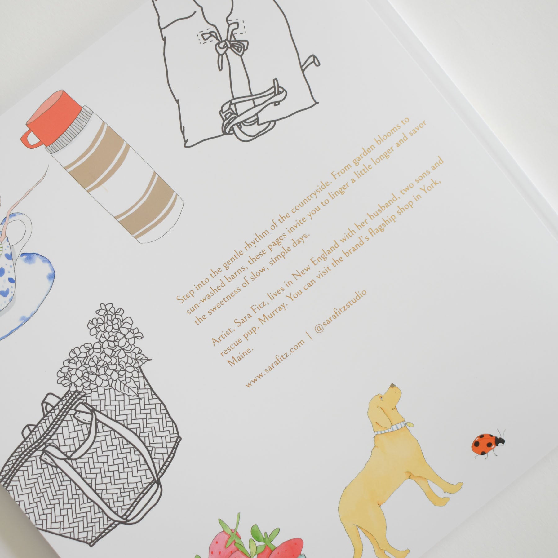 Illustration of a thermos, picnic basket, dog, ladybug, and strawberries with printed text celebrating the joys of country living, overlaid on a white background—evoking the charming New England style featured in Sara Fitz’s Coloring Book Countryside.
