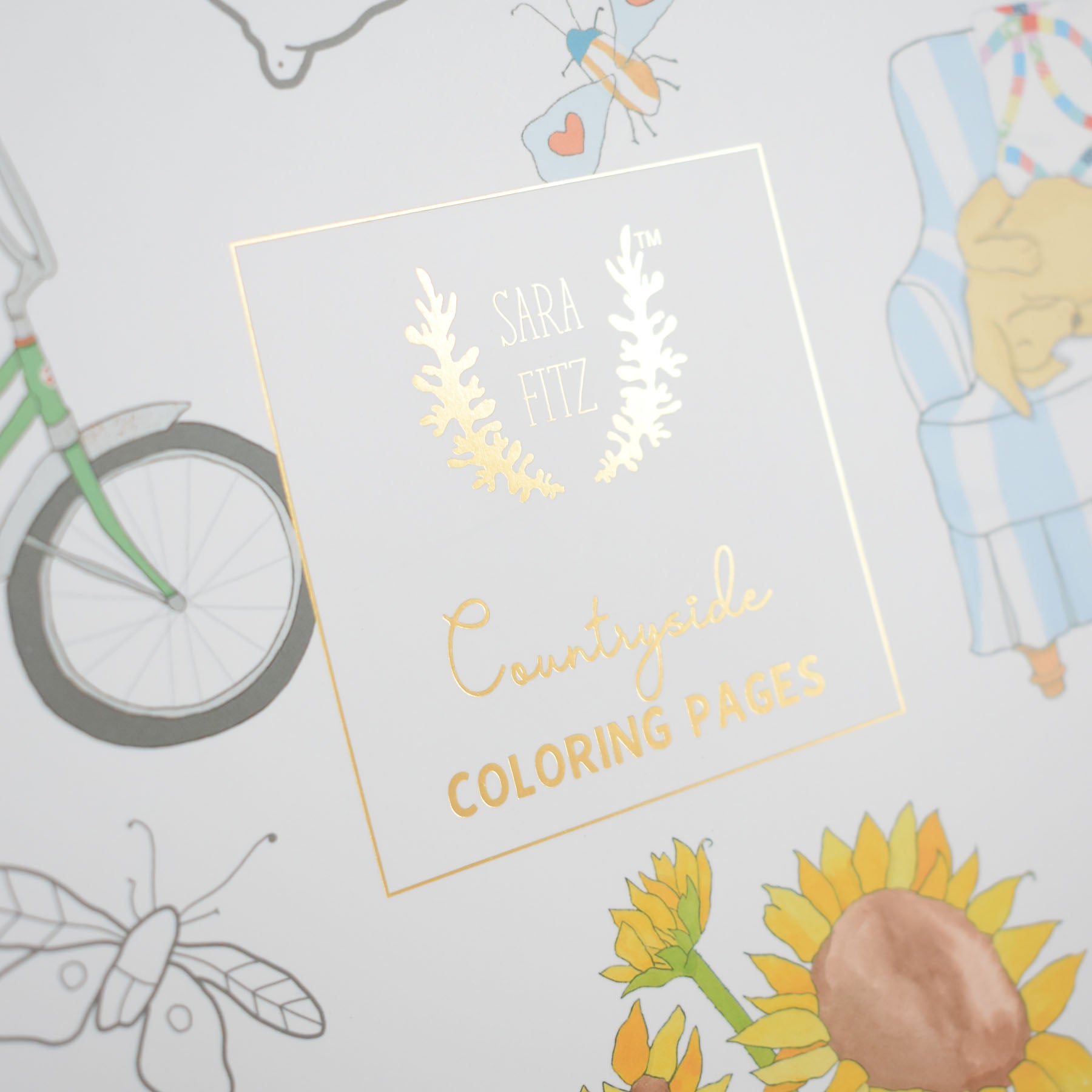 Close-up of the Coloring Book Countryside cover by Sara Fitz, featuring the text “Sara Fitz Countryside Coloring Pages” and adorned with delightful New England-inspired illustrations such as a flower, butterfly, bicycle wheel, moth, and a dog lounging on an armchair—an ideal choice for adult coloring book enthusiasts.