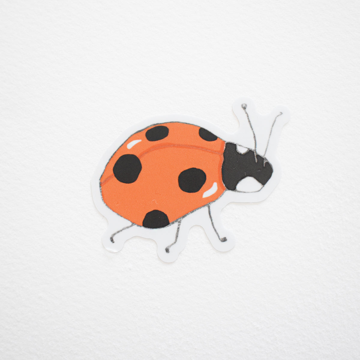 Ladybug Sticker by Sara Fitz