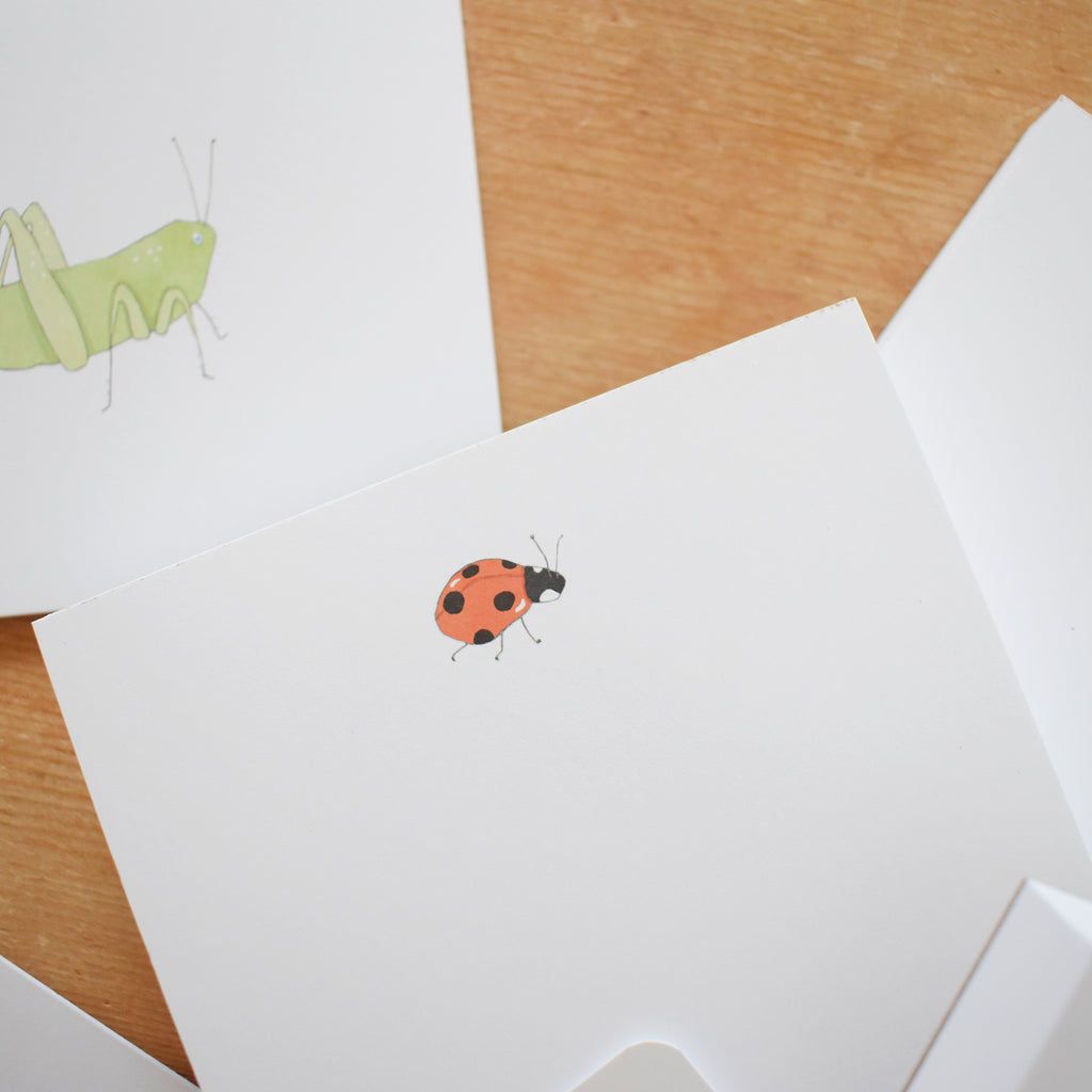 Ladybug Notepad by Sara Fitz