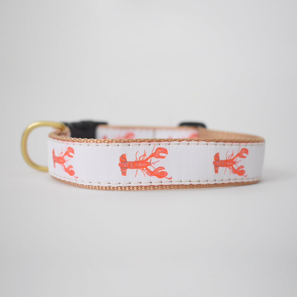 Dog Collar, Lobster by Sara Fitz