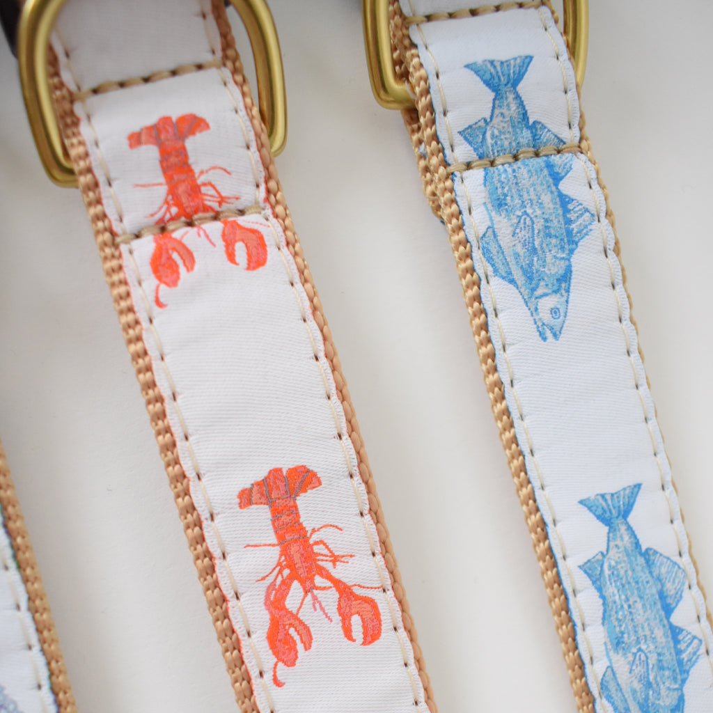 Dog Collar, Lobster by Sara Fitz