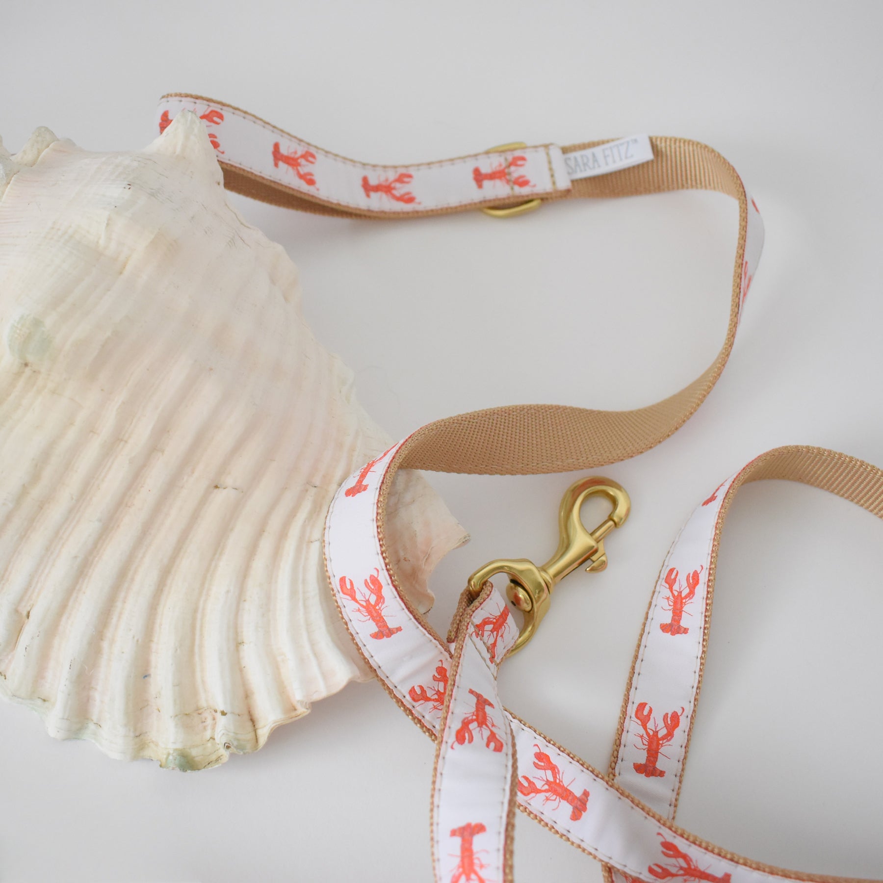 Dog Leash, Lobster by Sara Fitz