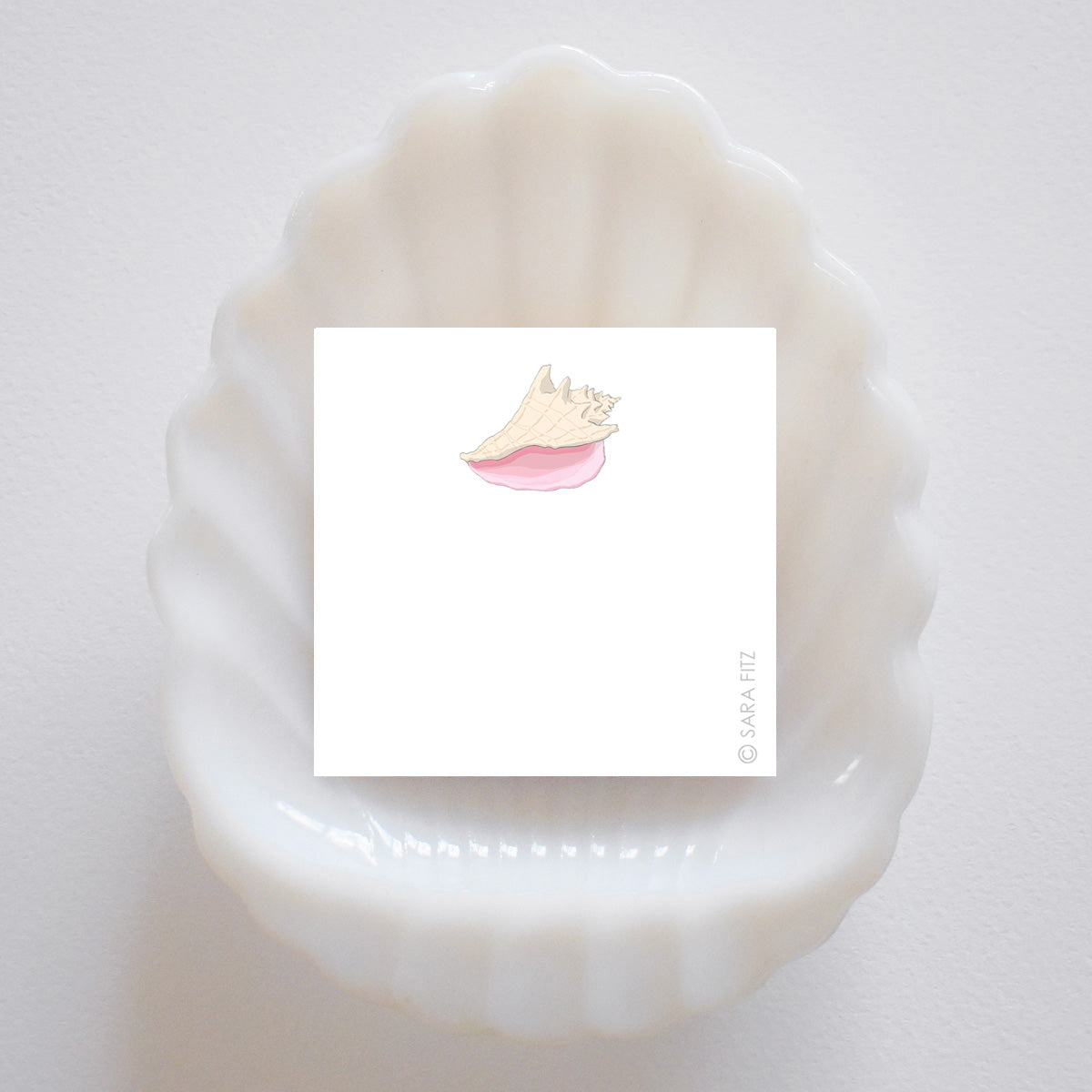 Conch Shell Notelet by Sara Fitz