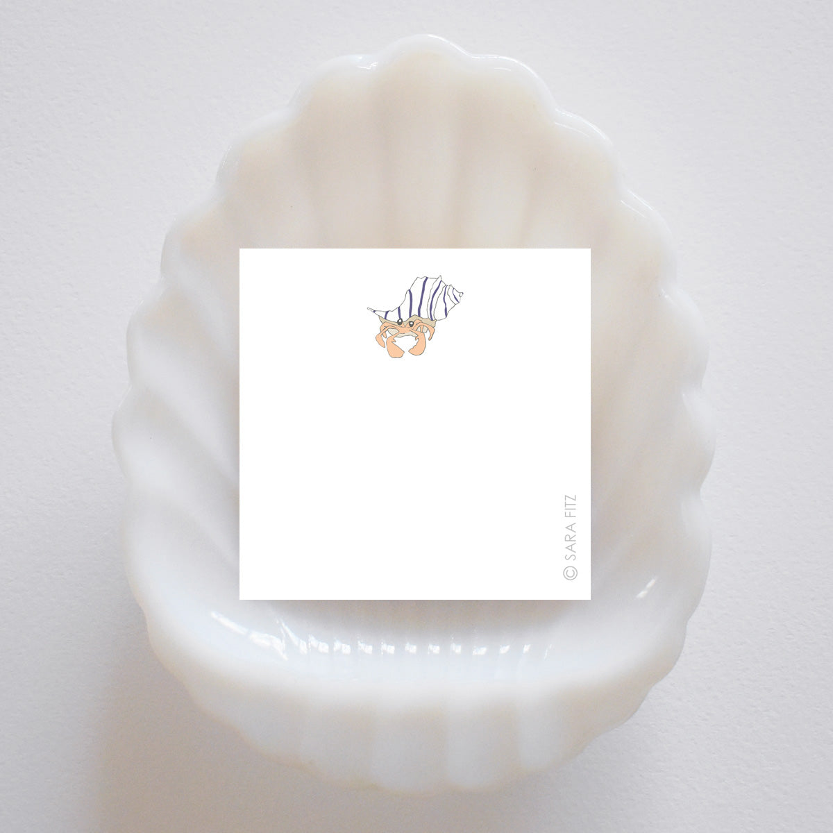 Hermit Crab Notelet by Sara Fitz