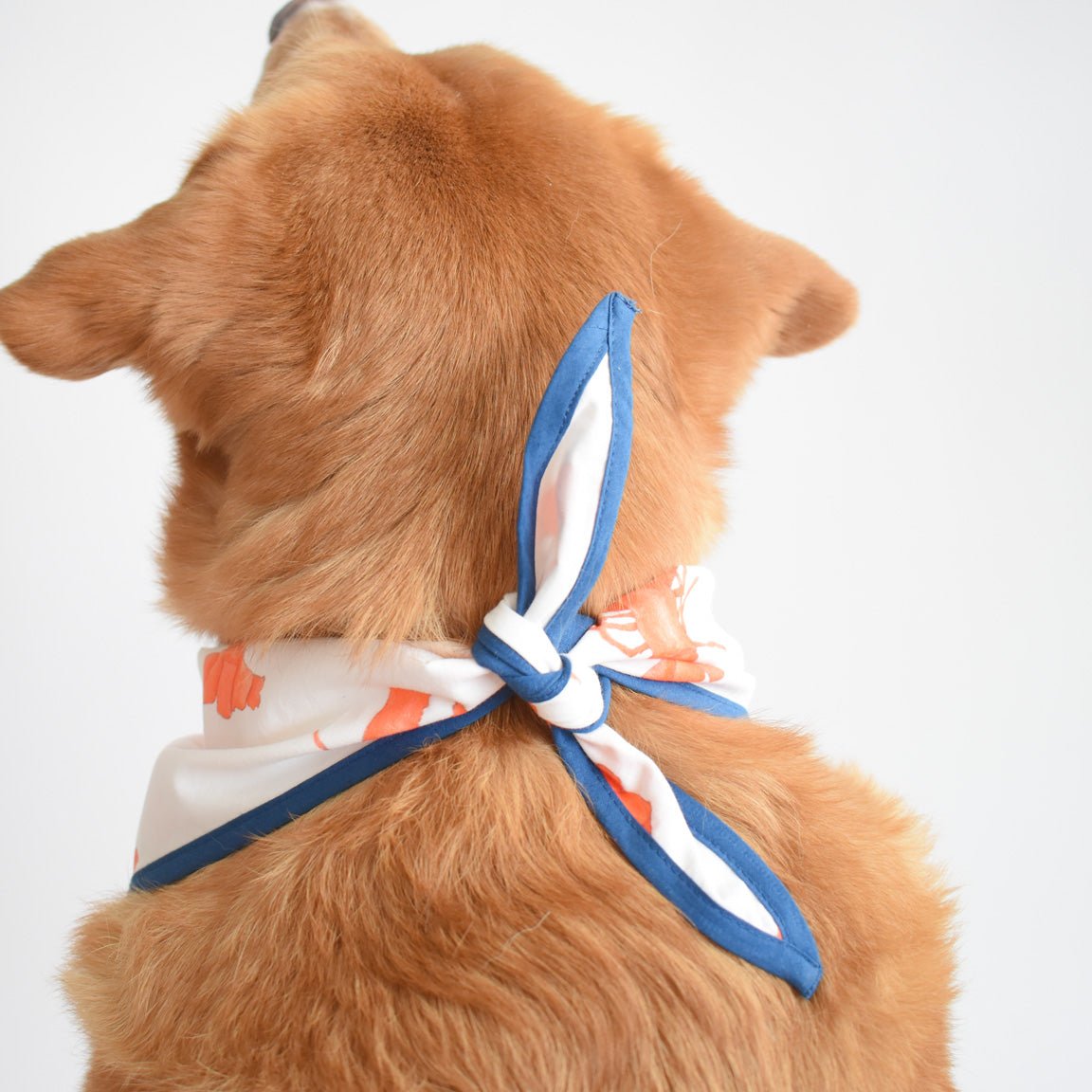 Sara Fitz Dog Bandana Lobster Navy Ten Percent
