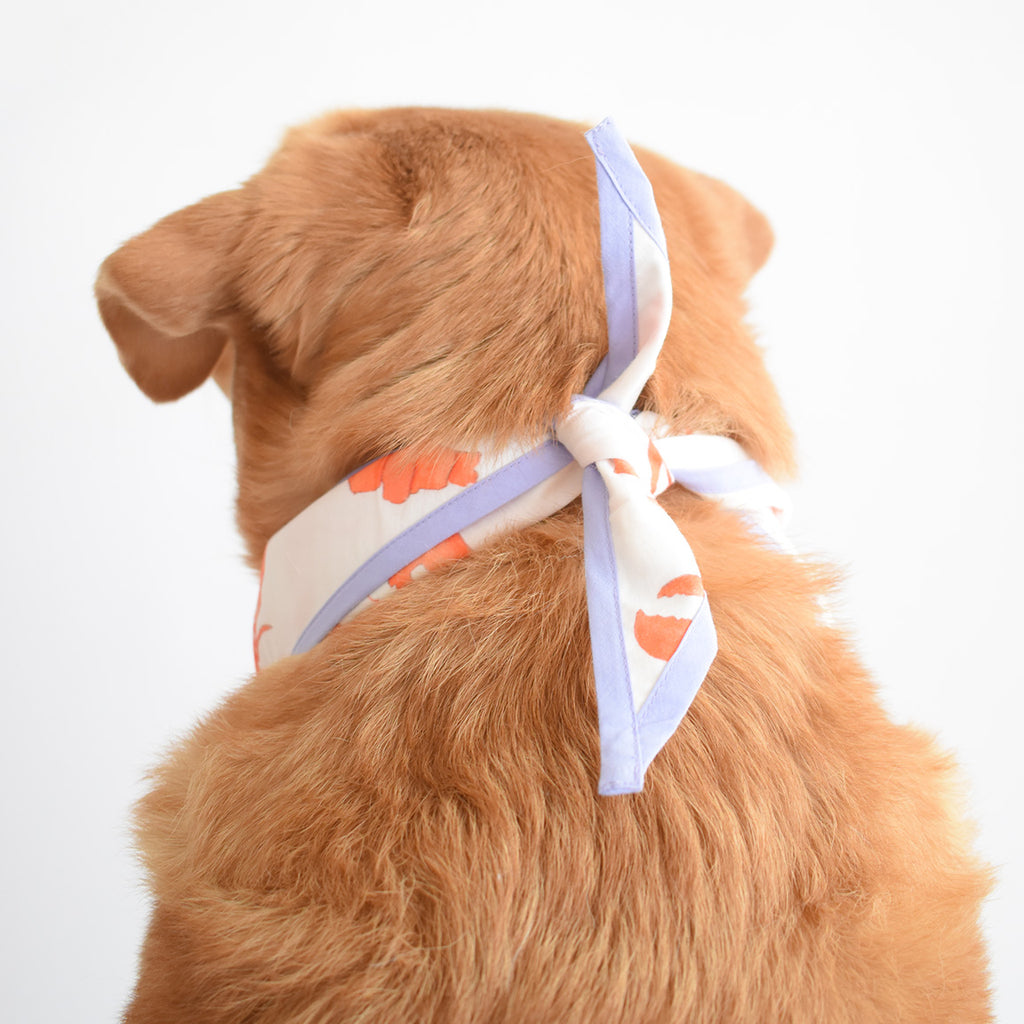 Dog Bandana, Lobster Purple by Sara Fitz