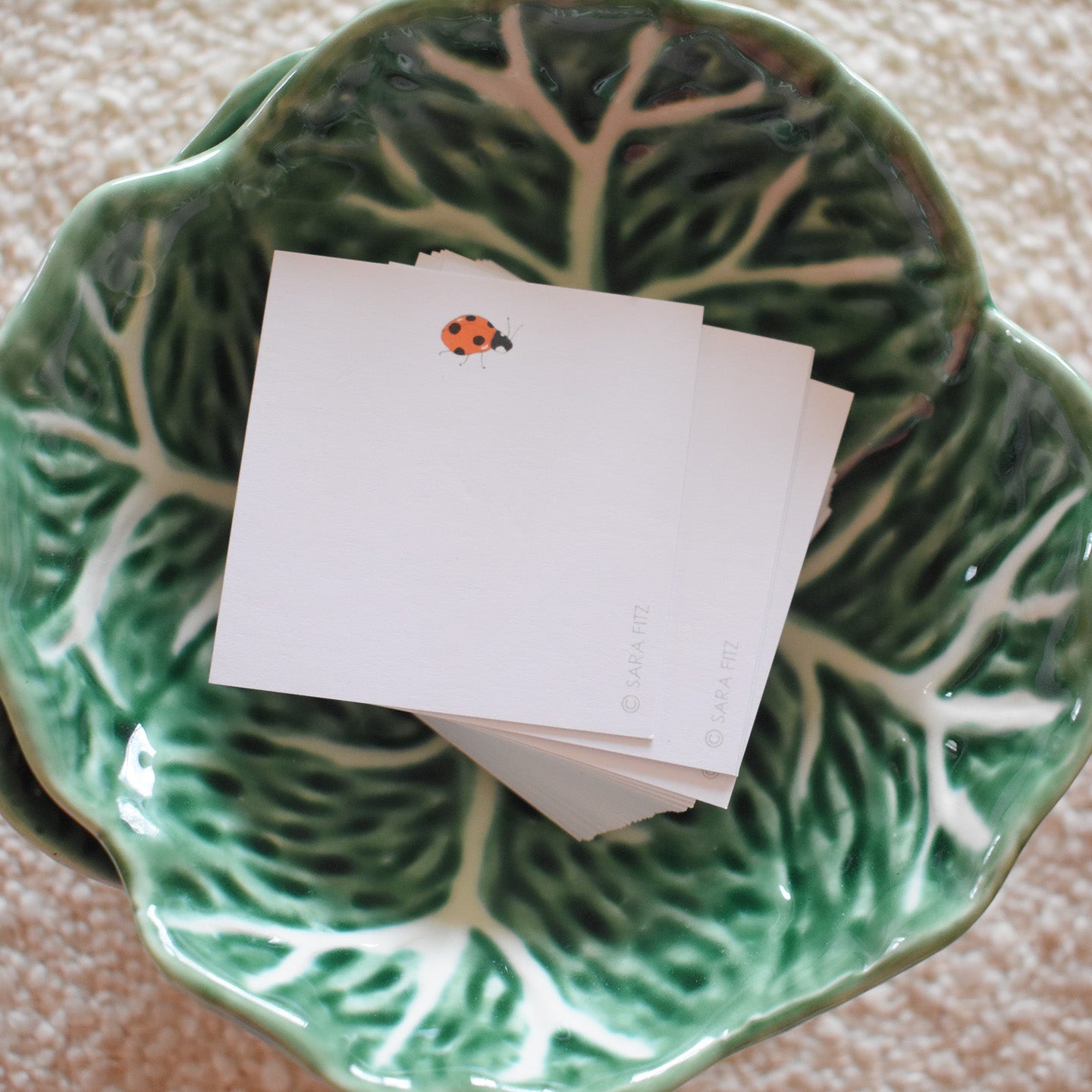 Ladybug Notelet by Sara Fitz