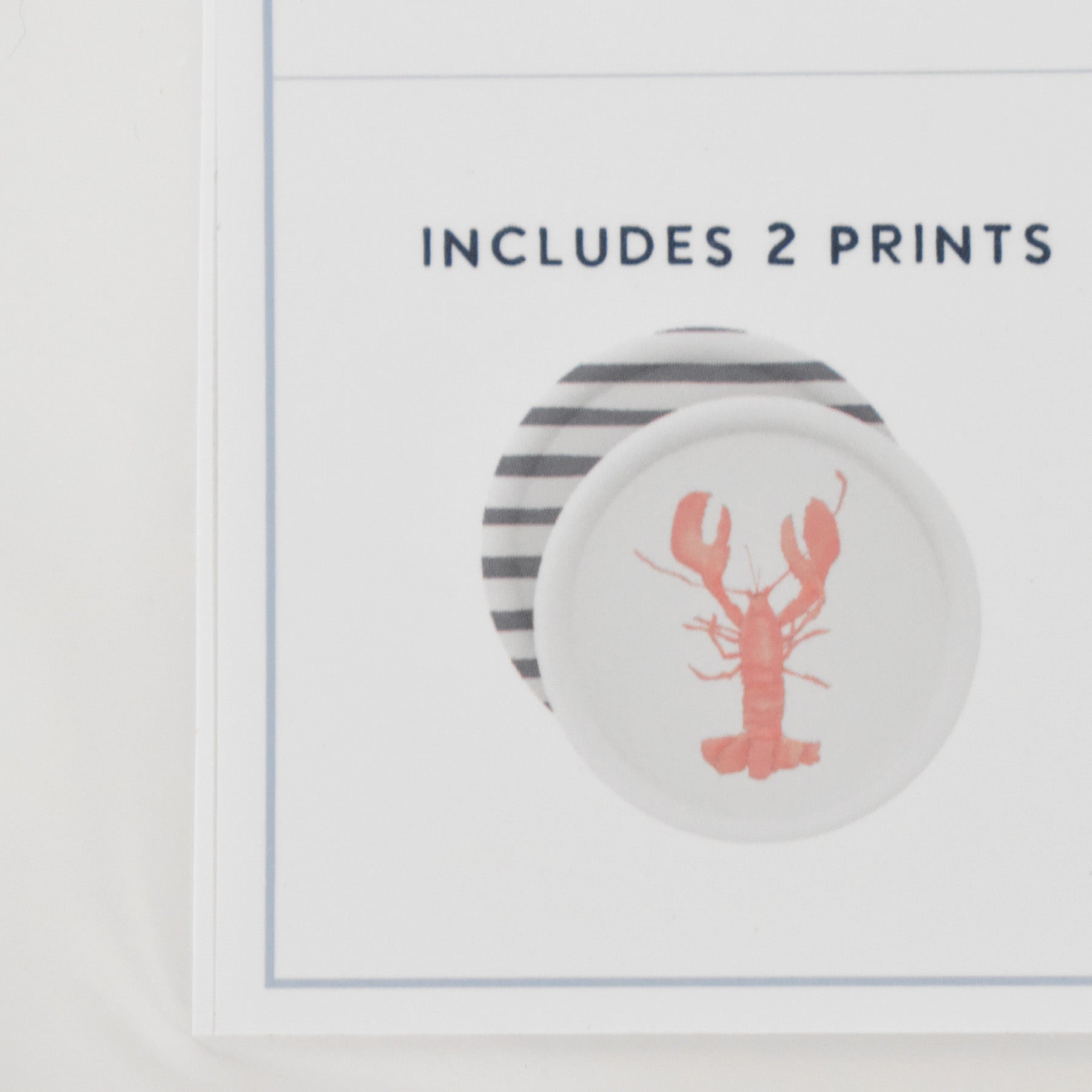 Lobster Paper Dinner Plates by Sara Fitz