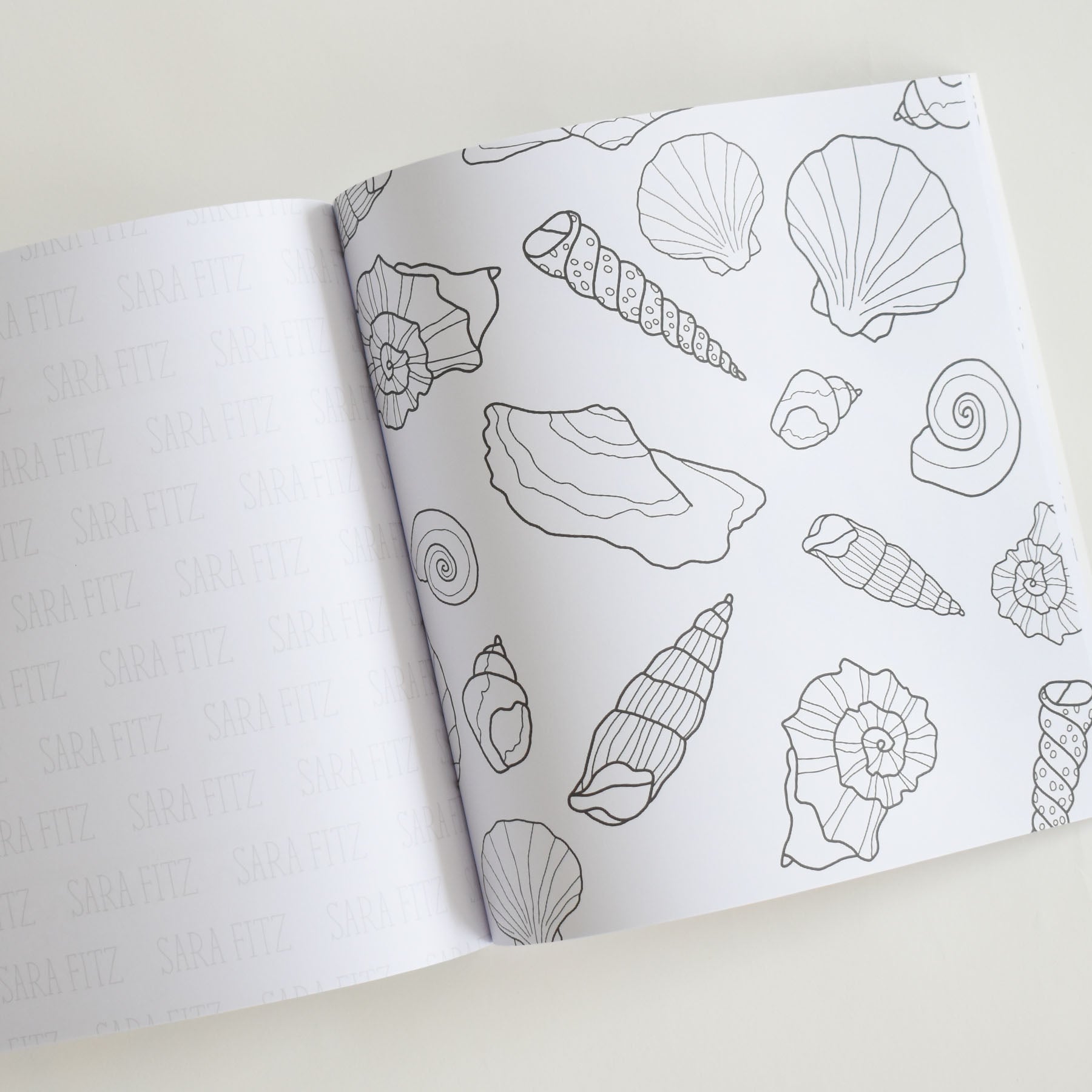 An open Coloring Book Seaside by Sara Fitz shows outlined drawings of various seashells and conch shells on the right page, while the left page features repeated faint “SARA FITZ” text—capturing the charm of New England illustrations in this adult coloring book.