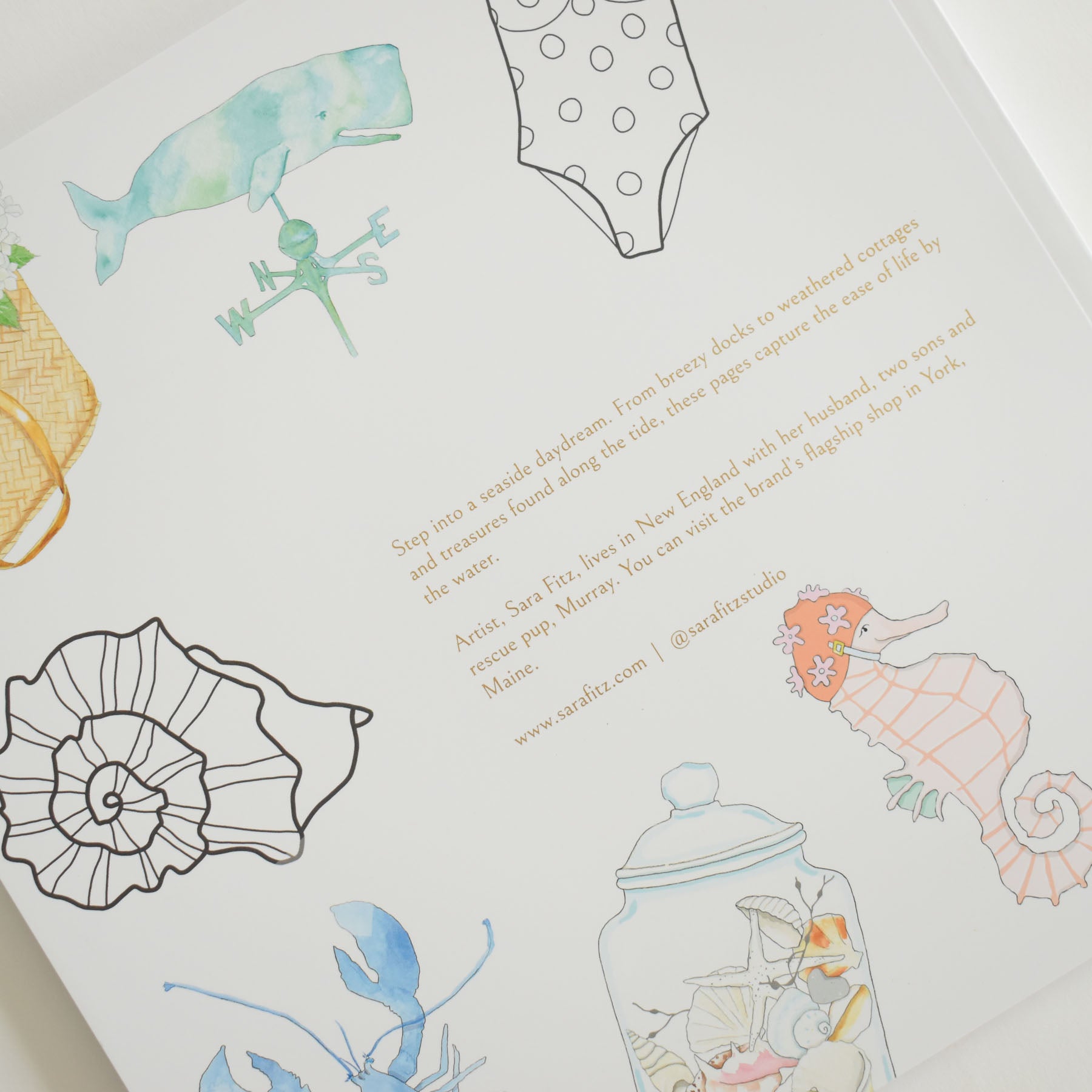 Back cover of the Sara Fitz Coloring Book Seaside, showcasing watercolor illustrations of a whale, seahorse, shells, buoy, and swimsuit—all inspired by charming New England artwork—along with a brief description and gold artist credit.