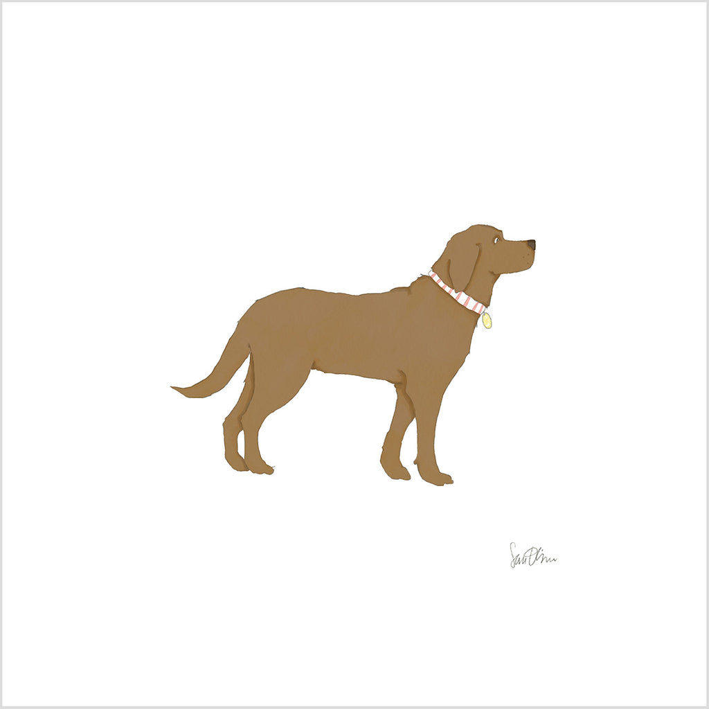 Chocolate Pup Art Print by Sara Fitz