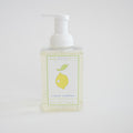 Sara Fitz Foaming Soap Lemon comes in a clear 500 ml (16.9 fl oz) pump bottle with a lemon and green leaves illustration, offering non-toxic, refreshing hand soap.