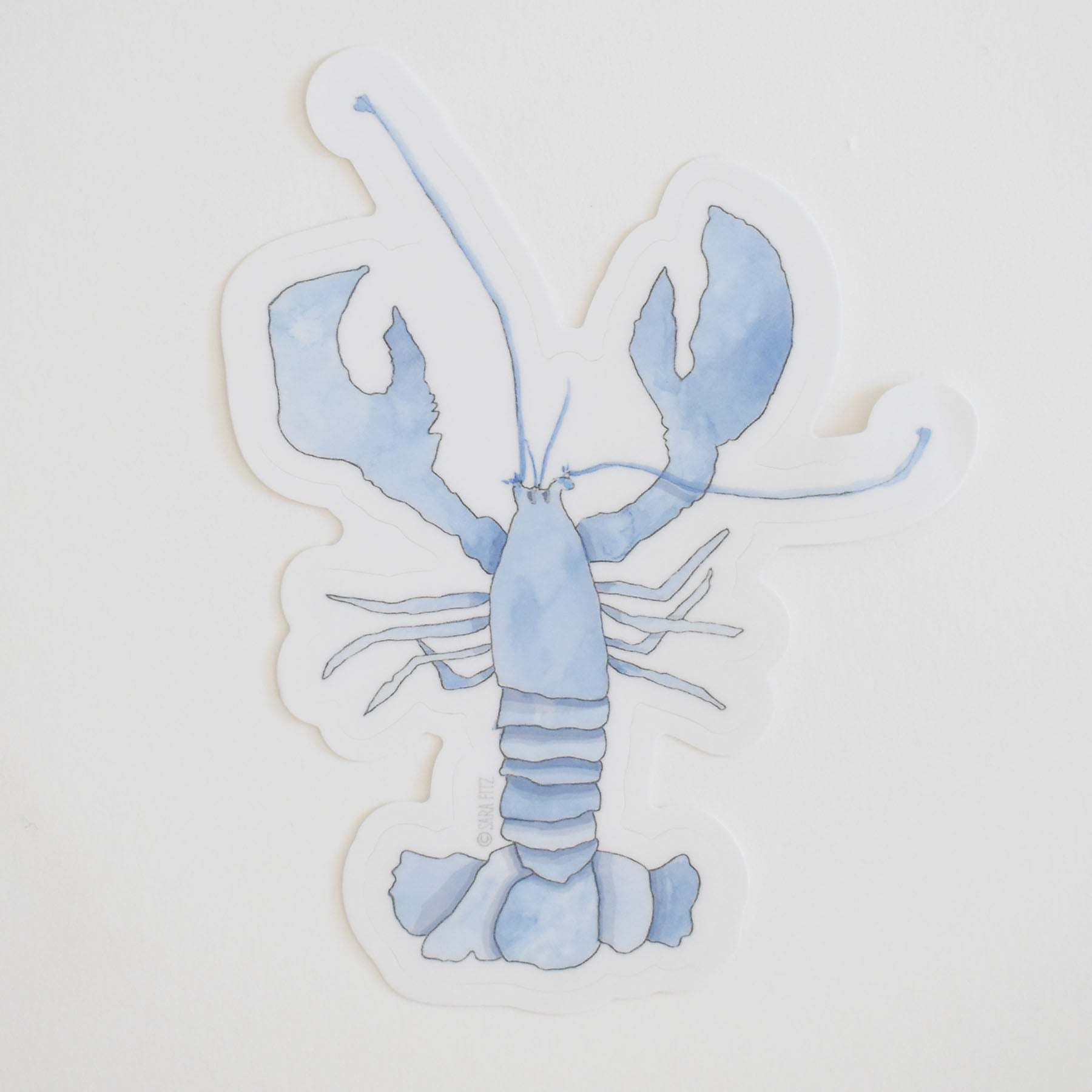 Blue Lobster Sticker by Sara Fitz