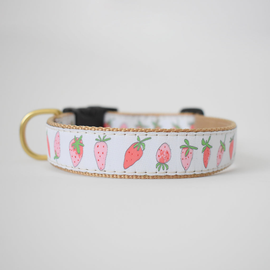 Dog Collar, Strawberry by Sara Fitz
