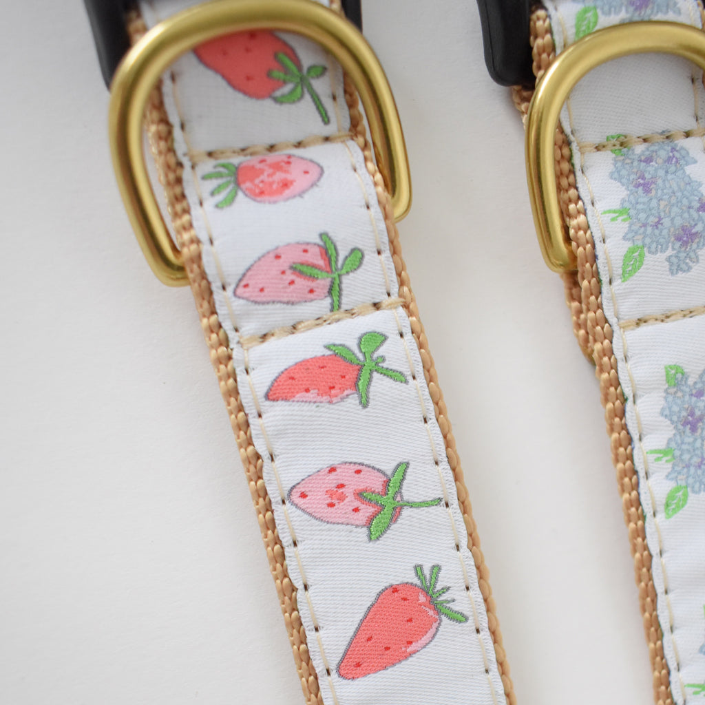 Dog Collar, Strawberry by Sara Fitz