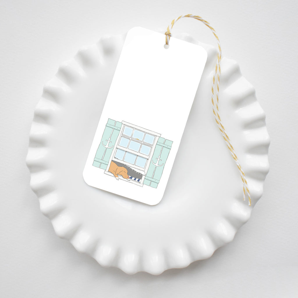 Pup in a Window Tags