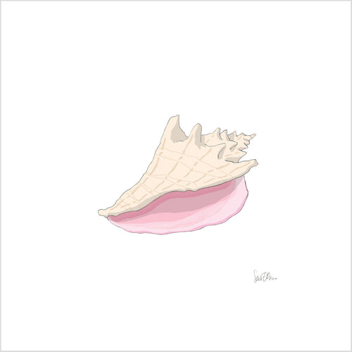 Conch Shell Art Print by Sara Fitz