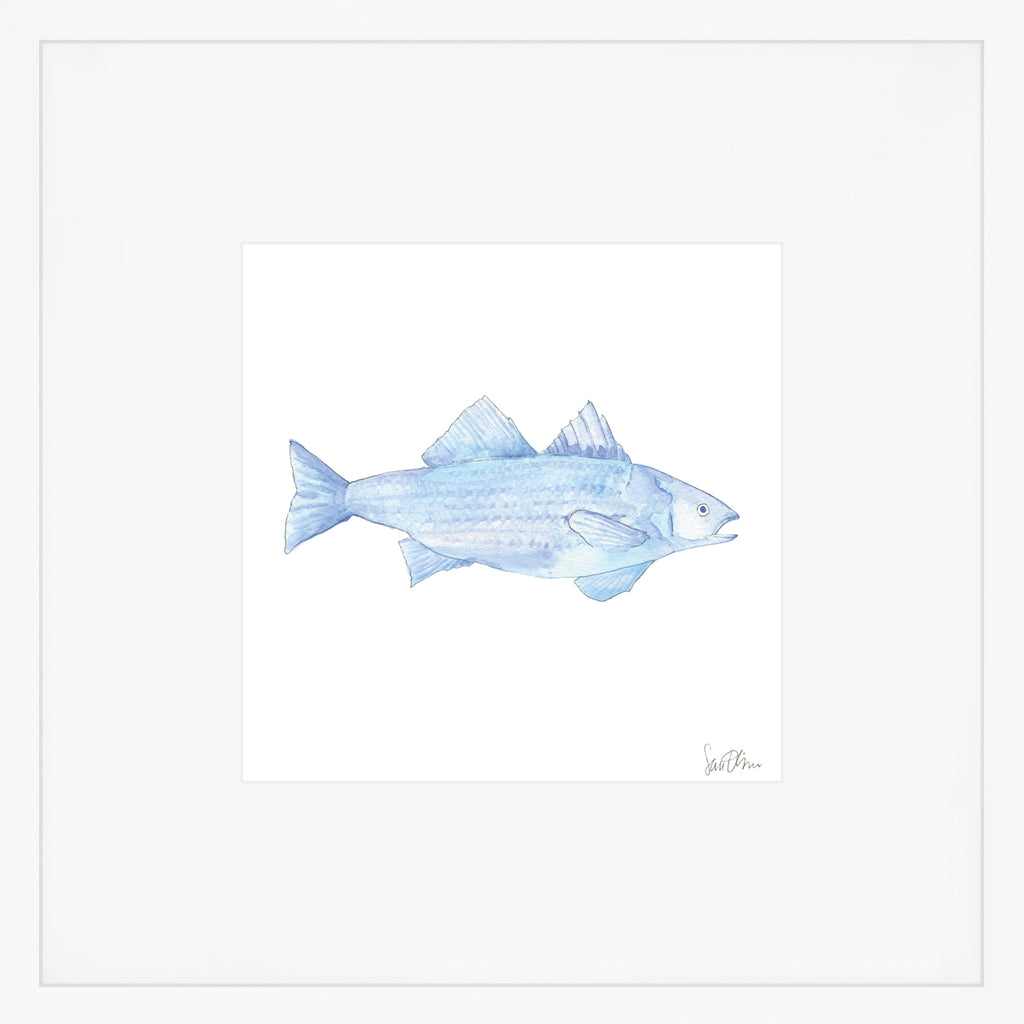 Blue Fish Art Print by Sara Fitz