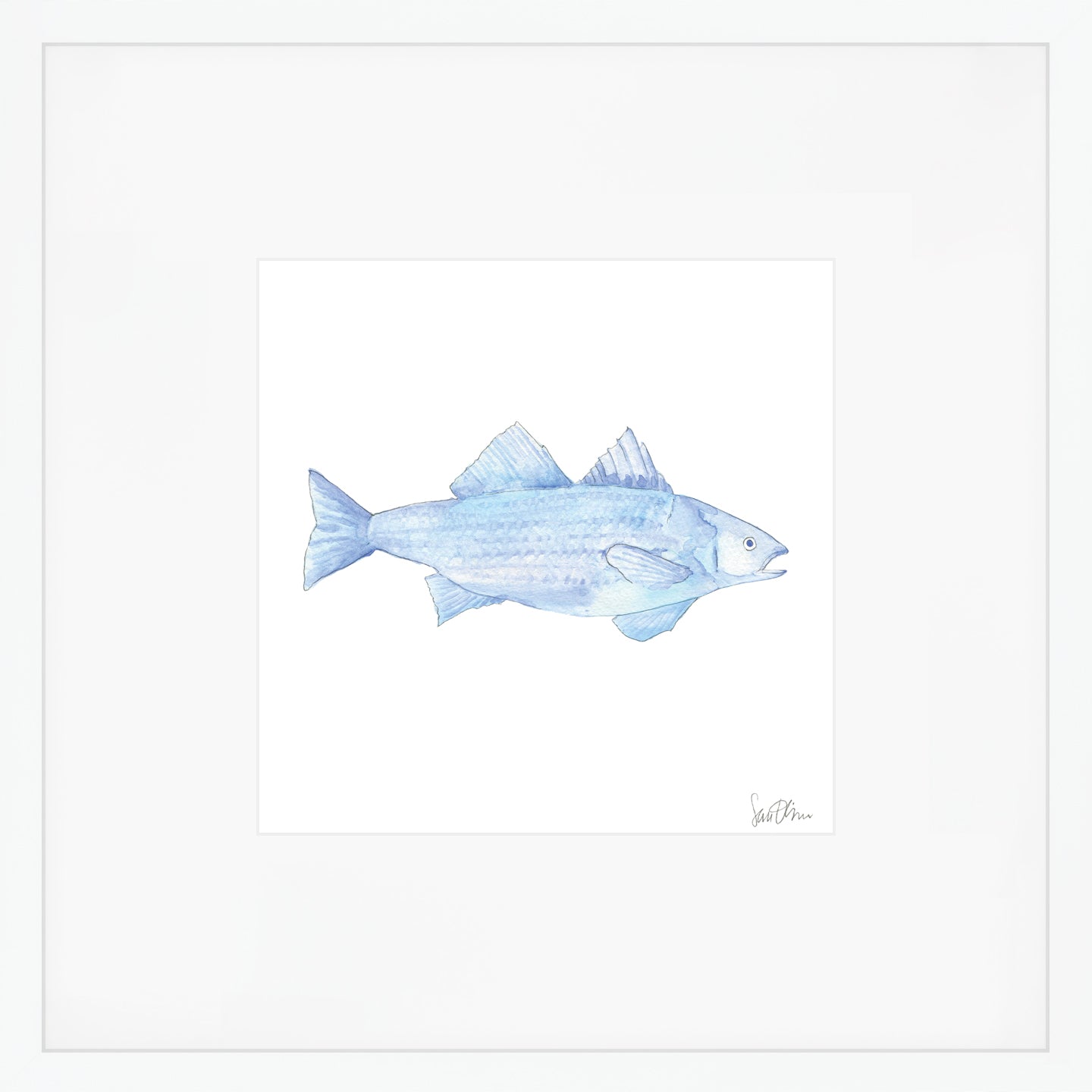 Blue Fish Art Print by Sara Fitz