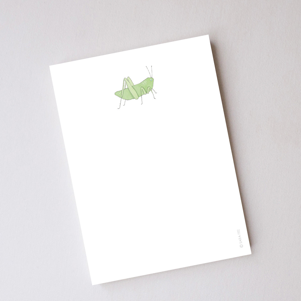 Grasshopper Notepad by Sara Fitz