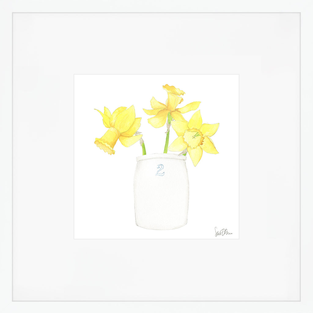 Daffodil Art Print by Sara Fitz