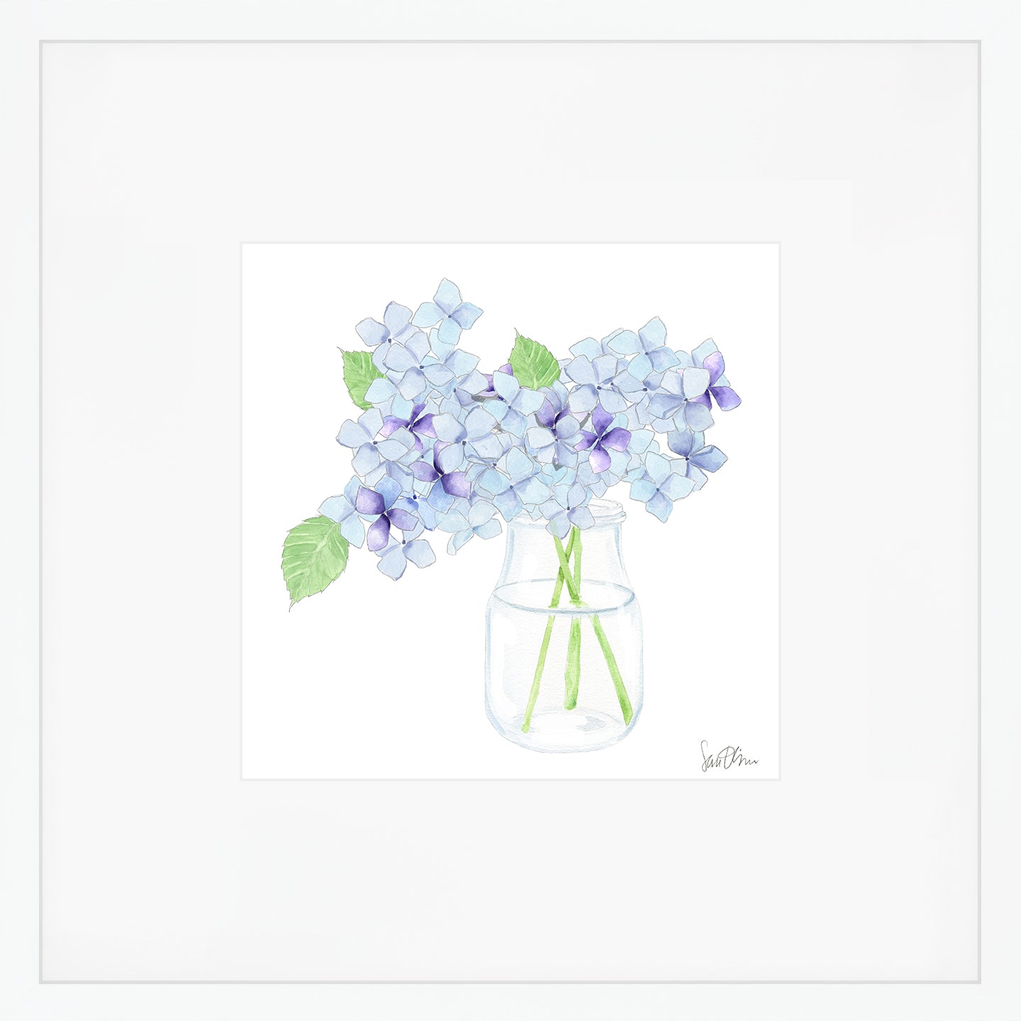 Hydrangea Art Print By Sara Fitz Archival Quality Print