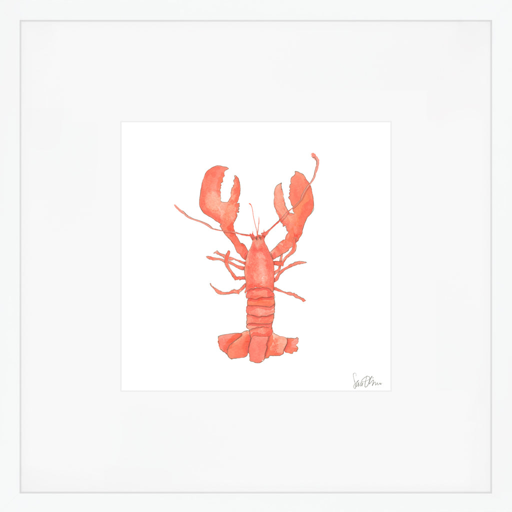 Lobster Art Print by Sara Fitz