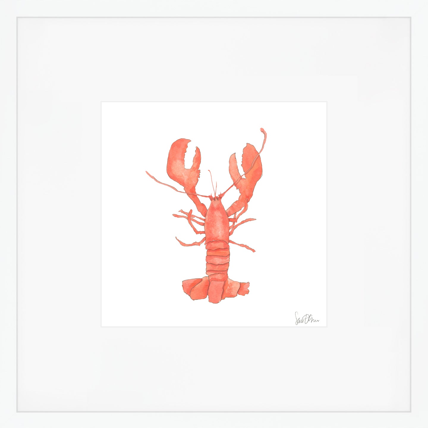 Lobster Art Print by Sara Fitz