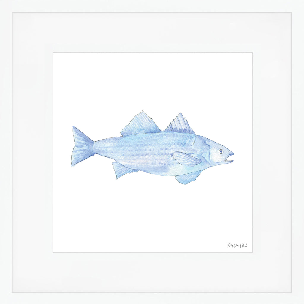 Blue Fish Mega Art Print by Sara Fitz