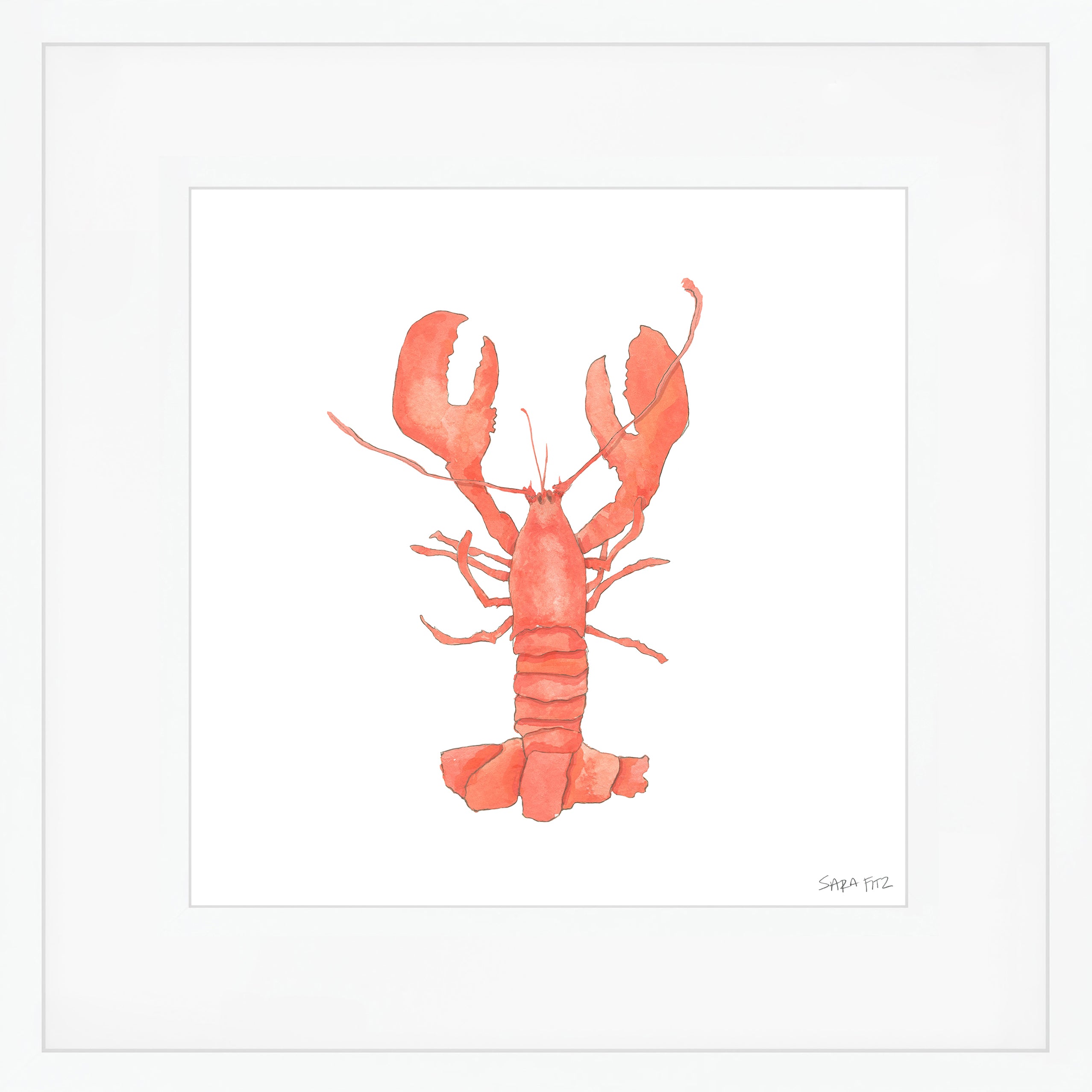 Lobster Mega Art Print by Sara Fitz