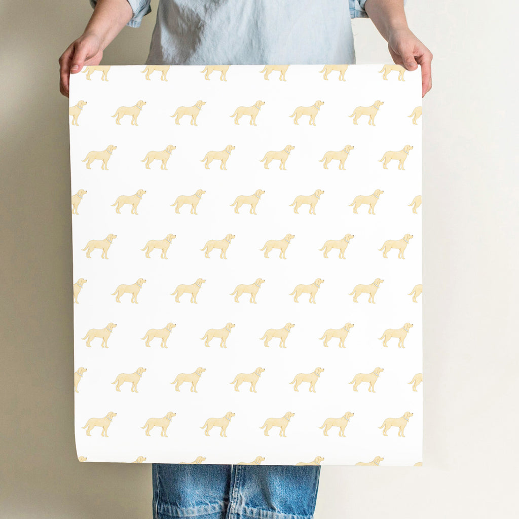 Golden Pup Wallpaper by Sara Fitz