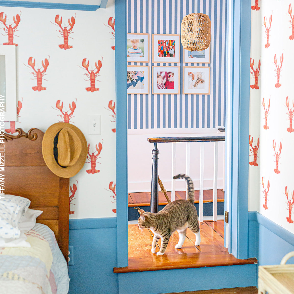 Lobster Wallpaper by Sara Fitz