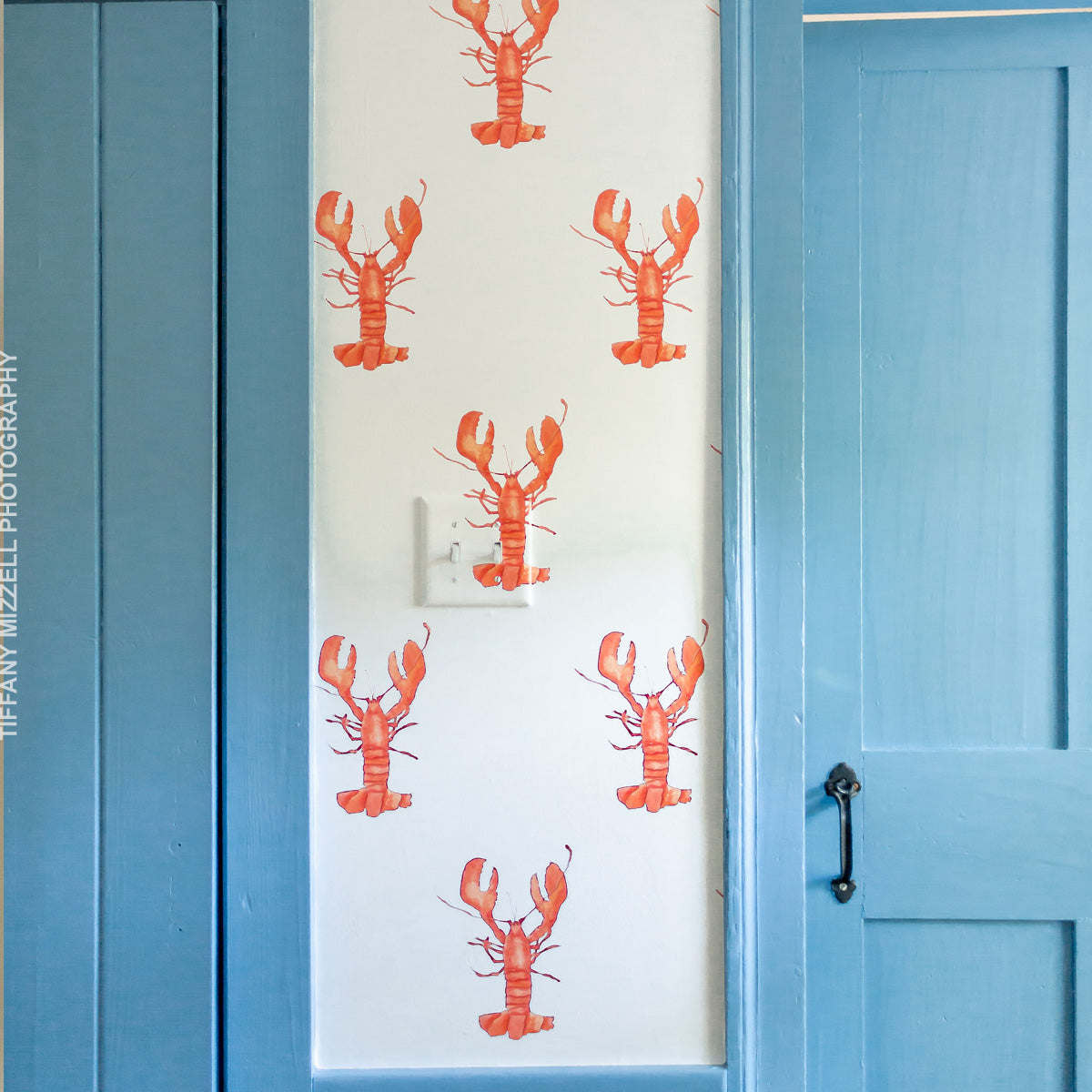Lobster Wallpaper by Sara Fitz