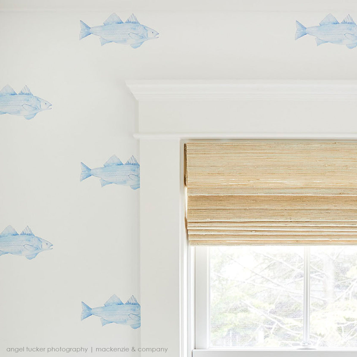 Blue Fish Wallpaper by Sara Fitz