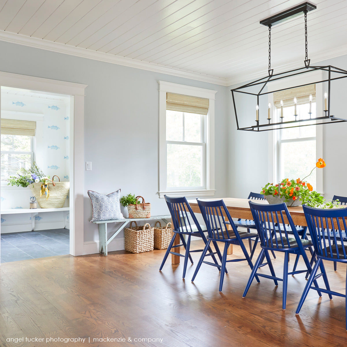 Blue Fish Wallpaper by Sara Fitz