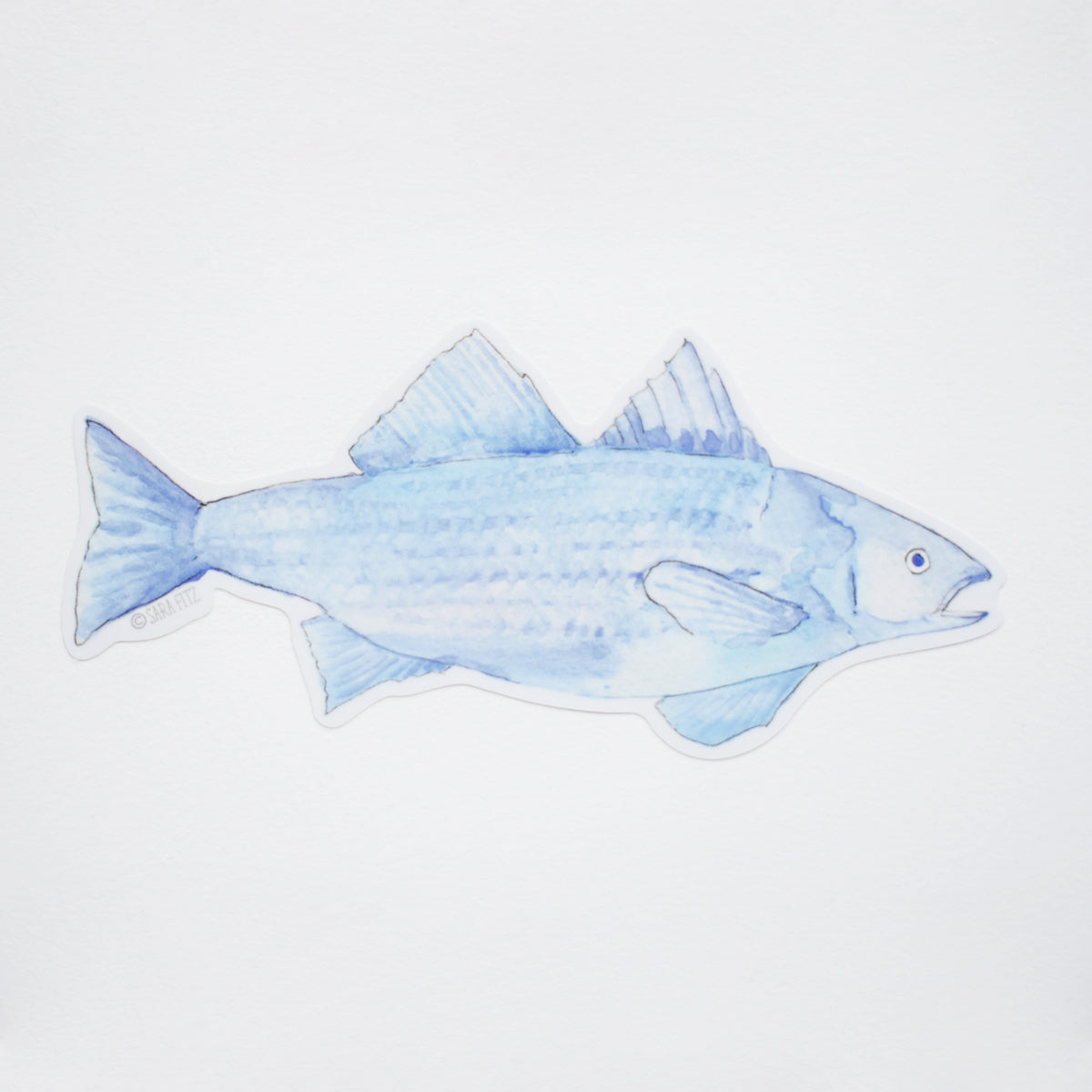 Blue Fish Sticker by Sara Fitz